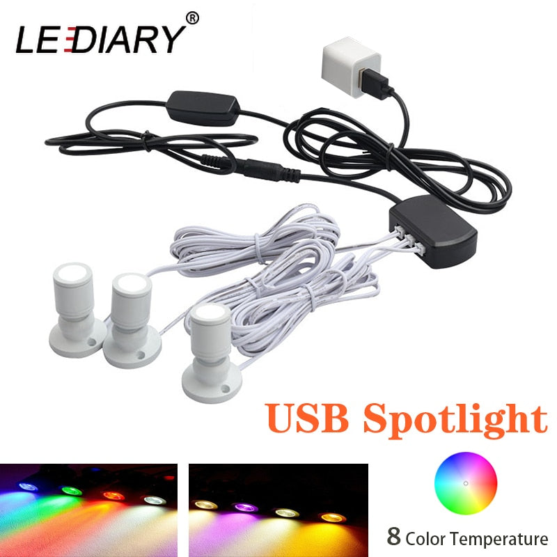 LEDIARY 5V Dimming Mini LED RGB Spot Downlights Lamp Set Remote Control Ceiling Surface1W Silver Black Mini USB Cabinet Lights