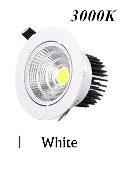 Led Downlight Dimmable lamp 3w 5w 7W 12w 15w 20w 30w 40w cob led spot AC 110V 220V ceiling recessed downlights round panel light