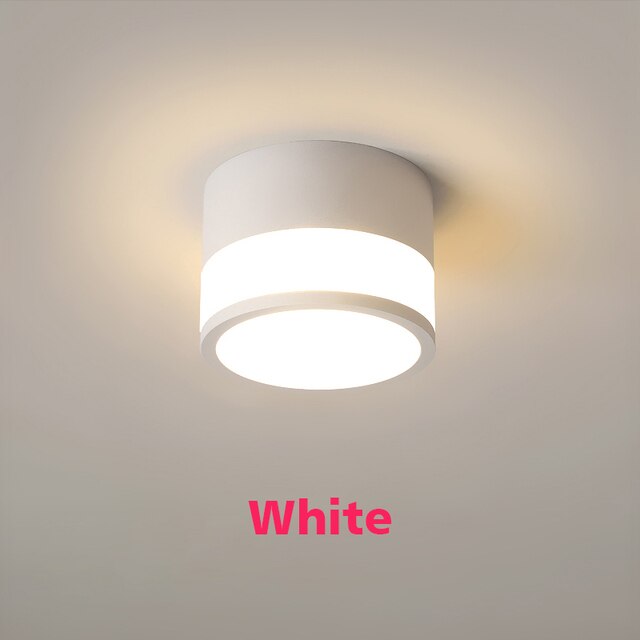 Led Downlight Surface Mounted Cylinder Dimmable Ceiling For Living Room Indoor Lighting AC220V 230V 18W 15W Foyer TV Background