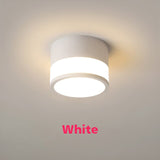 Led Downlight Surface Mounted Cylinder Dimmable Ceiling For Living Room Indoor Lighting AC220V 230V 18W 15W Foyer TV Background