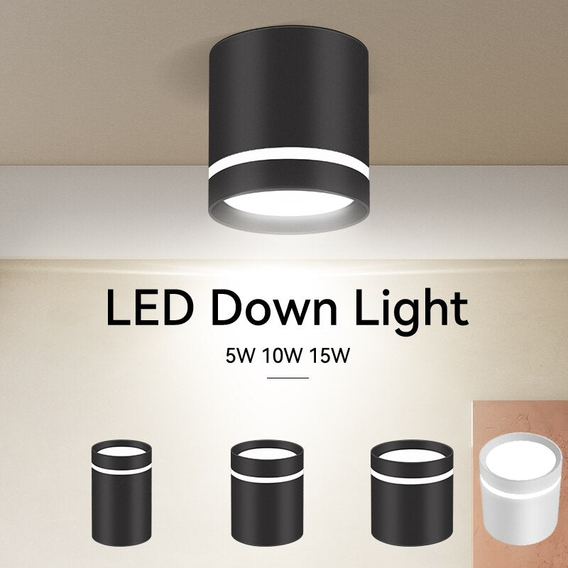 Led Downlights 220V Led Spot Light 5W 10W 15W Downlight Indoor Lightin ...