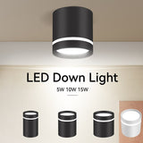 Led Downlights 220V Led Spot Light 5W 10W 15W Downlight Indoor Lighting Surface Mounted Spotlight For Living Room Kitchen Store