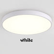 Modern LED Ceiling Light Living Room Bedroom Light Corridor Balcony LED Ceiling lamp Kitchen Ceiling Lights Surface mount