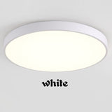 Modern LED Ceiling Light Living Room Bedroom Light Corridor Balcony LED Ceiling lamp Kitchen Ceiling Lights Surface mount