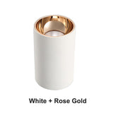 New Arrival Surface Mounted LED Downlight COB 7W 12W 15W 18W AC110V 220V Ceiling Downlight Anti Glare Illumination