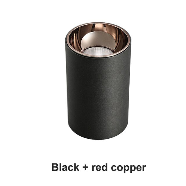 New Arrival Surface Mounted LED Downlight COB 7W 12W 15W 18W AC110V 220V Ceiling Downlight Anti Glare Illumination