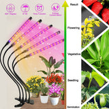 LECLSTAR USB Powered LED Grow Light Full Spectrum Plant With Timer Control Phyto Lamp DC12V Fitolamp for Seedling Flower Tent