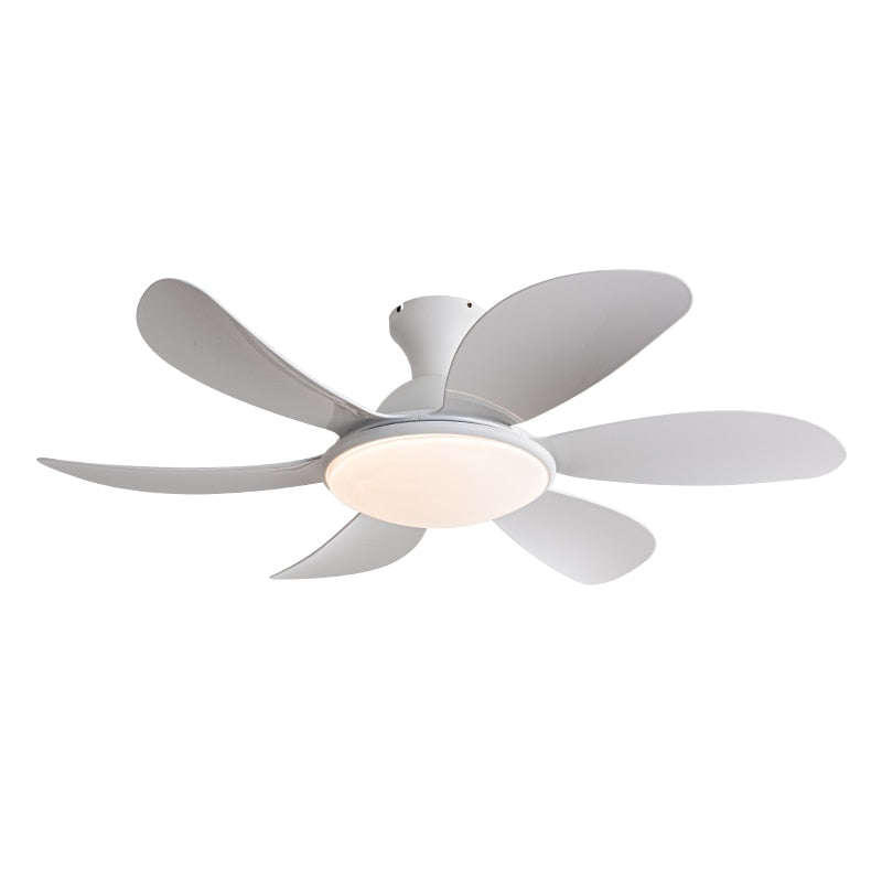 Strong wind household living room fan light bedroom dining room simple ceiling fan light variable frequency silent fan light