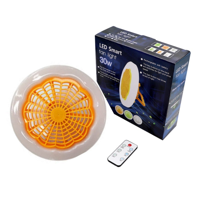 30W Ceiling Fan with Integrated Lights Remote Control Ceiling Lighting Fan Lamp Bedroom Living Room Switch Control Home Lamps