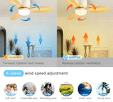 35Inch Design Fan Modern Floor Wood Dc Ceiling Fan Lamp With Remote Control Indoor Solid Wood LED light Fans For Home Ventilation