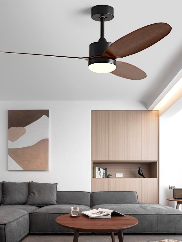 52Inch Fan lamp Modern Simple DC Ceiling Fan Lamp Restaurant Living Room Household use 110V 220V Remote Control Electric fan