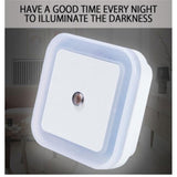 Mini LED Night Light EU/US Plug-in Dusk to Dawn Sensor Wall Nights Lamp Square for Bedroom Hallway Stairs Corridor 110V 220V