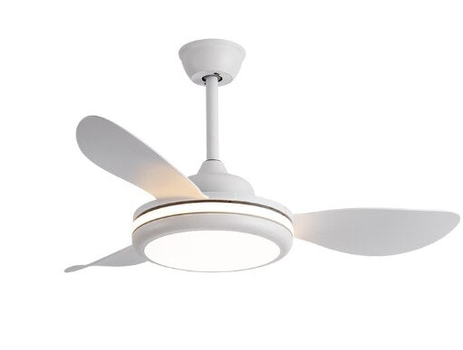 LED Ceiling Lamp Fan With Light DC Lighting Remote Control 220v Lights Modern Bedroom Hanging For Living Room Home Silent Lamps