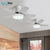 Modern Ceiling Fan Lamp with Led Light for Dining Living Room Kitchen Wood Nordic Suction Fans Remote Control ventilador
