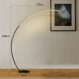 C Floor Lamp Dimming Remote Control Floor Light Black LED Corner Floor Lamp Bedroom Decoration Living Room Lamp Standing Light