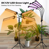 DC12V Full Spectrum LED Grow Light For Plants 20W 40W 60W 80W SMD2835 Dimmable Timing Phyto Lamp For Greenhouse Tent