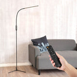 Remote Control Dimmable Standing Light EU Plug 150cm LED Floor Lamp 12W Flexible Gooseneck Touch Dimming for Study Living Room