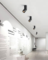 Dimmable Rotating LED Downlights COB LED Ceiling Spot Lights AC110-220V LED Wall Lamp Warm Cold White Indoor Lighting