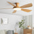 56Inch Modern Led Ceiling Fans With Lights Ceiling Light Fan Lamp Ceiling Fan With Remote Control Decorative BedroomHome 220v