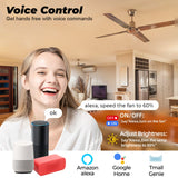 Tuya Mini Fan Speed Switch WiFi Ceiling Fan Controller Smart Life  APP Remote Timing Voice Control Works With Alexa Google Home