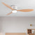 Modern Led Ceiling Fans With Lights Ceiling Light Fan Lamp Ceiling Fan With Remote Control Decorative BedroomHome 220v