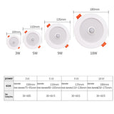 LED Recessed Downlight PIR Motion Sensor LED Ceiling Lamp Downlight Light 3W 5W 9W 18W 220V Smart Spot Led Downlight