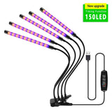 LECLSTAR USB Powered LED Grow Light Full Spectrum Plant With Timer Control Phyto Lamp DC12V Fitolamp for Seedling Flower Tent