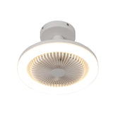 LED Smart Fan light E27 bulb 30W LED Ceiling Light with Remote Control Dimmable Ceiling Light