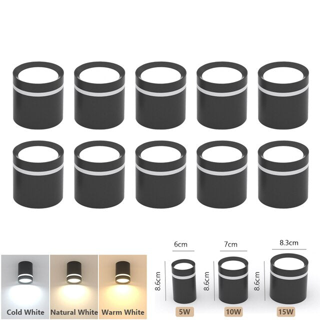 Surface Mounted Ceiling Downlight Lamp Spotlight 5/10/15w Cob Led Spot Lights Ceiling Fixtures Lighting For Bedroom Kitchen Home