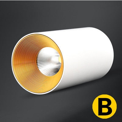 Surface Mounted Cylindrical LED COB Downlight Gold Reflector 7W 10W 12W 15W LED Ceiling Bulbs Lamp Spot Light LED Downlight