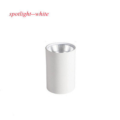 Surface Mounted Led Downlight Round Led Light Spot Lamp Cob Ceiling AC220V 90-260V 7W 36W Kitchen Room Foyer Indoor Warm White