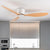 Modern Led Ceiling Fan Without Lights DC Motor 6 Speeds Timing Fans 20CM Low Floor Loft Remote Control Decorative Fan With Light