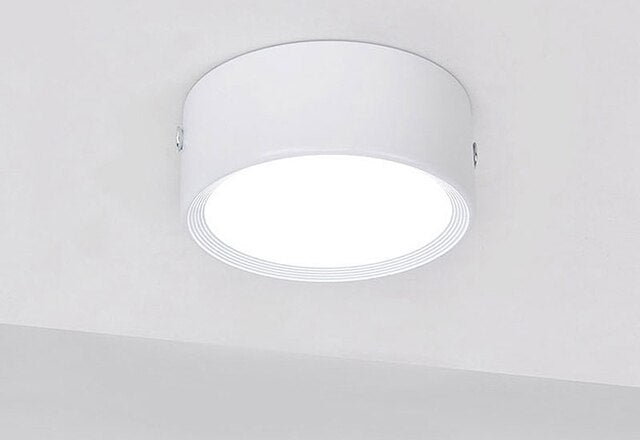 Ultra-thin Surface Mounted LED Downlight 3W 5W 7W 9W 220V Ceiling Lamps Ultra Thin Driverless LED Spot Lights Book Rack Lighting