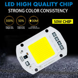 LED COB Lamp 10W 20W 30W 50W Real AC 220V 230V IP65 Smart IC DIY LED Bulb Flood Light Spotlight For Projectors Driver Light