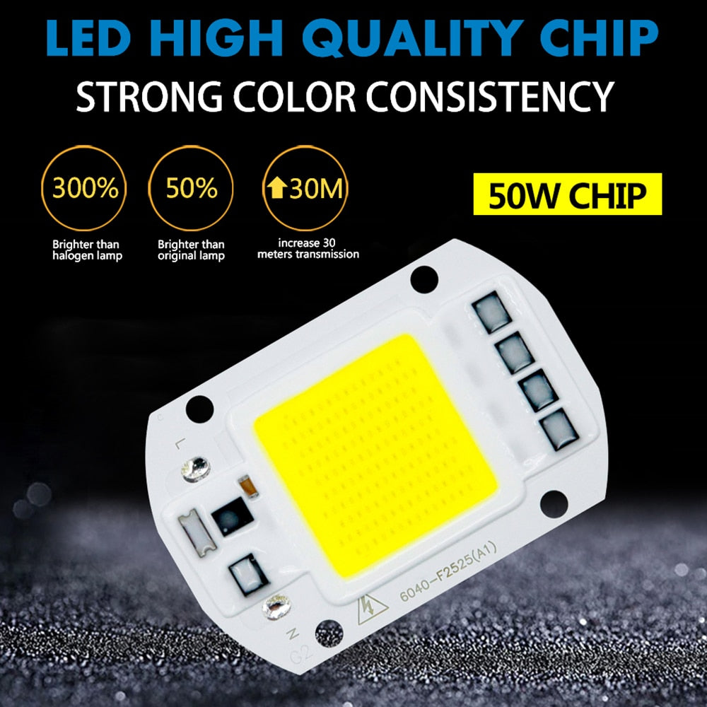 LED COB Lamp 10W 20W 30W 50W Real AC 220V 230V IP65 Smart IC DIY LED Bulb Flood Light Spotlight For Projectors Driver Light
