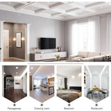 LED Downlight Ceiling silvery 5W  9W 12W 15W 18W Warm white/cold white led light AC 220V 230V 240V