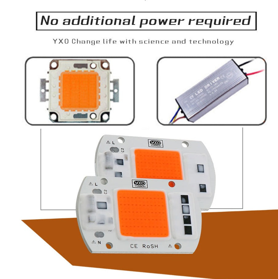  LED COB Chip For Grow Plant Light Full Spectrum Input 220V AC 20W 30W 50W For Indoor Plant Seedling Grow and Flower