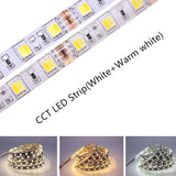 SMD5050 RGB LED Strip Waterproof 5M 300LED DC 12V 24V CCT RGBCCT  RGBW RGBWW WHITE WARM WHITE Fita LED Light Strips Flexible