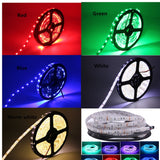 SMD5050 RGB LED Strip Waterproof 5M 300LED DC 12V 24V CCT RGBCCT  RGBW RGBWW WHITE WARM WHITE Fita LED Light Strips Flexible
