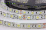 SMD5050 RGB LED Strip Waterproof 5M 300LED DC 12V 24V CCT RGBCCT  RGBW RGBWW WHITE WARM WHITE Fita LED Light Strips Flexible