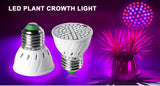Full Spectrum E27 220V LED Plant Grow Light Bulb Fitolampy Phyto Lamp For Indoor Garden Plants Flower Hydroponics Grow Tent Box