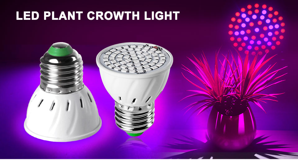 Full Spectrum E27 220V LED Plant Grow Light Bulb Fitolampy Phyto Lamp For Indoor Garden Plants Flower Hydroponics Grow Tent Box