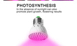 Full Spectrum E27 220V LED Plant Grow Light Bulb Fitolampy Phyto Lamp For Indoor Garden Plants Flower Hydroponics Grow Tent Box