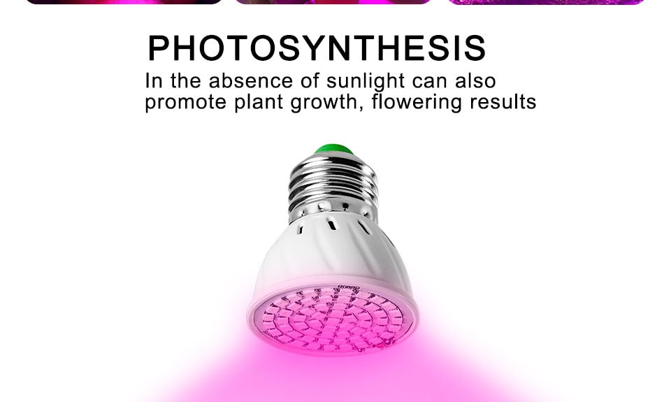 Full Spectrum E27 220V LED Plant Grow Light Bulb Fitolampy Phyto Lamp For Indoor Garden Plants Flower Hydroponics Grow Tent Box