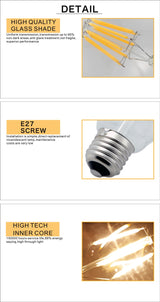 Filament Bulb G80 G95 G125 Big Global light bulb 2W 4W 6W 8W filament bulb E27 clear glass indoor lamp AC220V