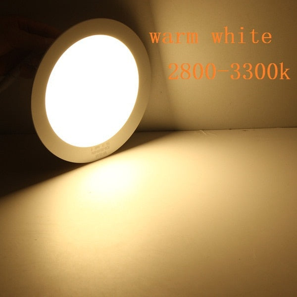 LED Panel Light 1pcs Dimmable 3W 6W 9W 12W 15W 25W Recessed Ceiling LED Downlight Indoor Spot Light AC110V 220V Driver Included