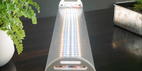 High LED Strip Light SMD5630 Ultra Bright Warm White Neutral White Daylight White Match 5600K