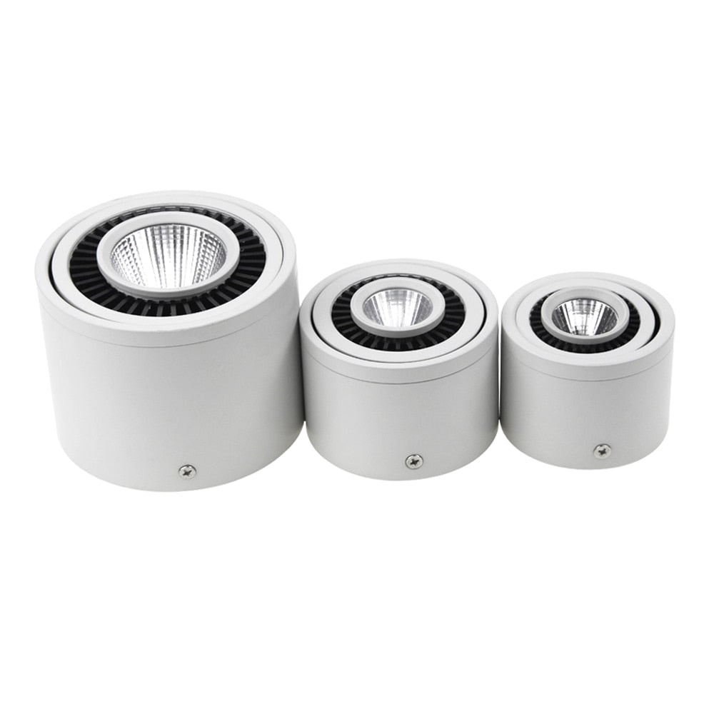 DBF 360 Degrees Rotatable Dimmable Surface Downlight 5W 7W 9W 15W Ceiling Spot Lights for Home Living room Background Wall