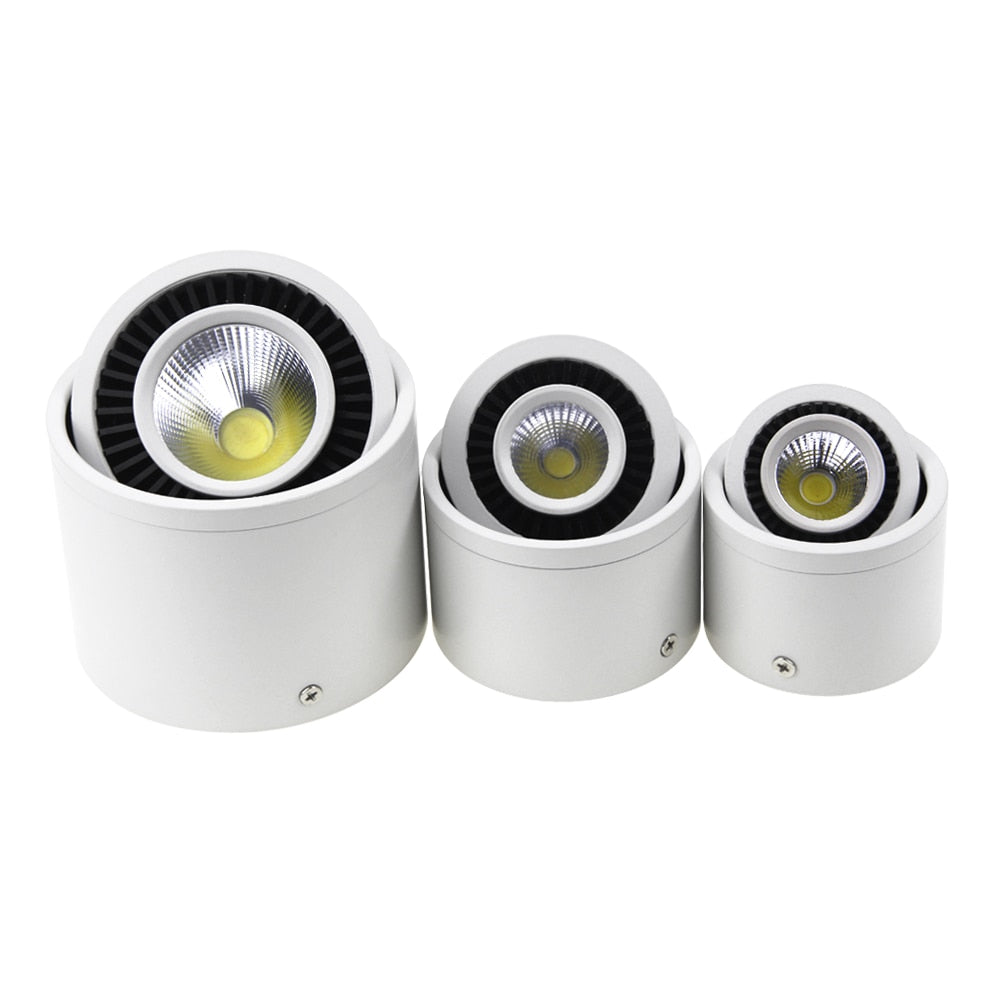 DBF 360 Degrees Rotatable Dimmable Surface Downlight 5W 7W 9W 15W Ceiling Spot Lights for Home Living room Background Wall