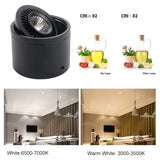 DBF 360 Degrees Rotatable Dimmable Surface Downlight 5W 7W 9W 15W Ceiling Spot Lights for Home Living room Background Wall